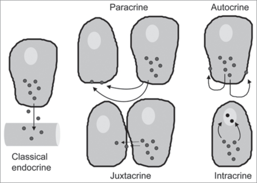 An external file that holds a picture, illustration, etc. Object name is de0105_0250_fig001.jpg