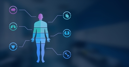 Digital composite of human body chart and blue background