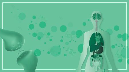 The endocannabinoid system health medical work in human body and brain backgrounds.