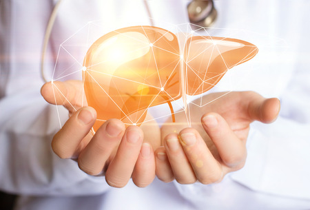 Support healthy liver concept design banner . Stock Photo