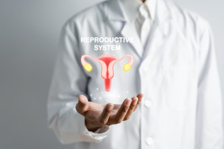 Doctor in a white coat holding uterus reproductive system , woman health, pcos, ovary gynecologic treatment, healthy feminine concept.