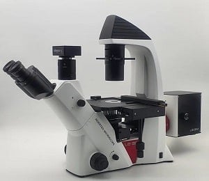 Leamsol Inverted Fluorescence Microscope