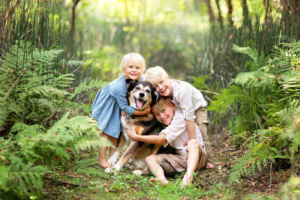 An image of three children hugging a dog in a forest.