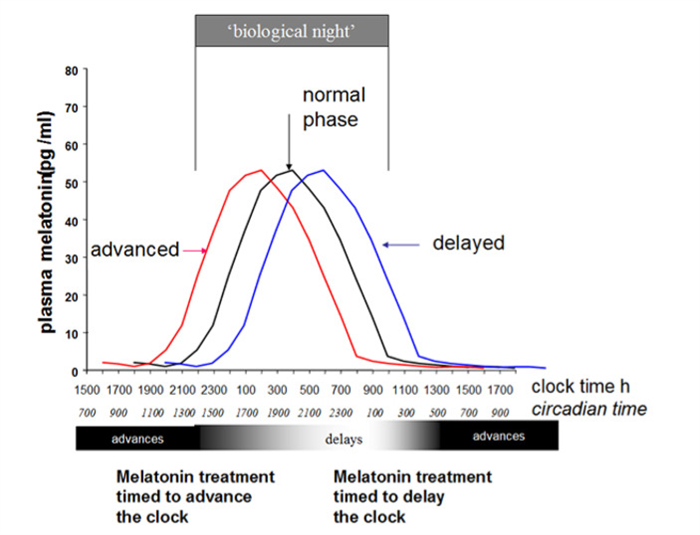 Figure 7. . Representation of a simplified diagram of phase shifts of the circadian system, as evidenced by changes in melatonin rhythm itself, following oral treatment with fast release melatonin at different times.