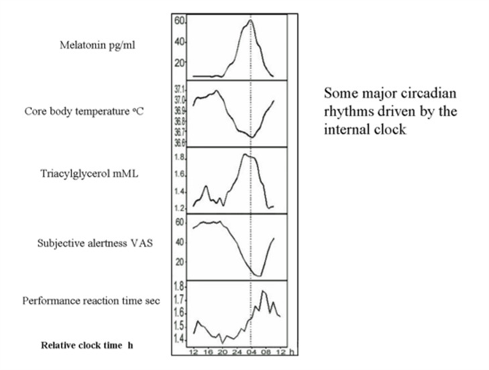 Figure 6. . Relationship of plasma melatonin to other major circadian rhythms driven by the internal clock.